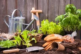 Outils de Jardinage